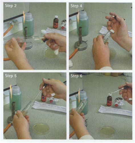 l-spreader pasteur pipette quorum testing|Making a spread or ‘lawn’ plate .